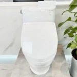 Bồn cầu TOTO CS767CRW25#XW - Ảnh 2