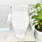 Bồn cầu TOTO CS767CRW24#XW - Ảnh 2