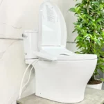 Bồn cầu TOTO CS767CRW24#XW - Ảnh 3