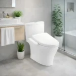 Bồn cầu TOTO CS769DRW24#XW - Ảnh 9
