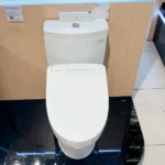 Bồn cầu TOTO CS769DRW25#XW - Ảnh 2