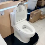 Bồn cầu TOTO CS769DRW25#XW - Ảnh 3