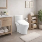 Bồn cầu TOTO CS838CDW17#XW (Giấu dây) nắp điện tử TCF23460AAA - Ảnh 9