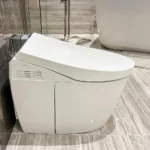 Bồn cầu TOTO CS989VT#NW1/TCF9788WZ/T53P100VR NEOREST AH - Ảnh 9