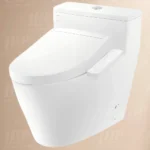 Bồn cầu TOTO MS625CDW24#XW