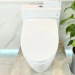 Bồn cầu TOTO MS625DW25#XW 1 khối (Giấu dây), nắp điện tử Washlet TCF34461GAA S5 - Ảnh 7