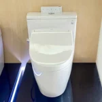 Bồn cầu TOTO MS625DW25#XW 1 khối (Giấu dây), nắp điện tử Washlet TCF34461GAA S5 - Ảnh 4