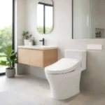 Bồn cầu TOTO MS857DW25#XW 1 khối (Giấu dây), nắp điện tử Washlet TCF34461GAA S5 - Ảnh 4