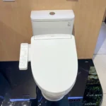 Bồn cầu TOTO MS857CDW24#XW - Ảnh 3