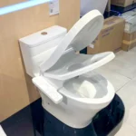Bồn cầu TOTO MS857CDW24#XW - Ảnh 7