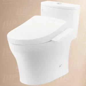 Bồn cầu TOTO MS855DW24