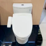 Bồn cầu TOTO MS855CDW24