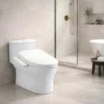 Bồn cầu TOTO MS855CDW24