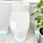 Bồn cầu TOTO MS885CDW25#XW 1 khối (Giấu dây), nắp điện tử Washlet TCF34461GAA S5 - Ảnh 7