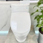 Bồn cầu TOTO MS887CRW25#XW 1 khối (Giấu dây), nắp điện tử Washlet TCF34461GAA S5, xả gạt - Ảnh 7