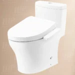 Bồn cầu TOTO MS889DRW24#XW