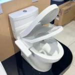 Bồn cầu TOTO MS889DRW24#XW - Ảnh 5