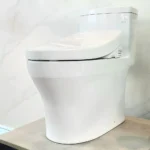 Bồn cầu TOTO MS889DRW24#XW - Ảnh 8