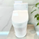 Bồn cầu TOTO MS889DRW25#XW 1 khối (Giấu dây), nắp điện tử Washlet TCF34461GAA S5 - Ảnh 2