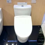 Bồn cầu TOTO MS889DRW25#XW 1 khối (Giấu dây), nắp điện tử Washlet TCF34461GAA S5 - Ảnh 8