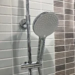 Sen tắm American Standard WF-1M72