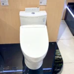 Bồn cầu TOTO MS885CDW25#XW 1 khối (Giấu dây), nắp điện tử Washlet TCF34461GAA S5 - Ảnh 4