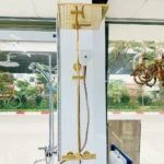 Sen cây TOTO TBW08405A nhiệt độ (không kèm tay sen) - Ảnh 9