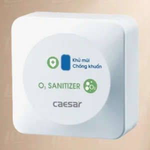 Máy tạo Ozon Caesar A6100Z