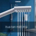 Sen cây Caesar S668C