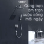 Sen tắm Caesar BS641