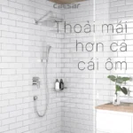 Sen tắm Caesar BS641