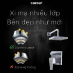 Sen tắm Caesar BS644