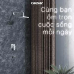 Sen tắm Caesar BS644