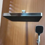 Sen tắm Caesar BS659