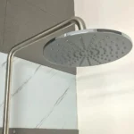 Sen cây Caesar S1028S