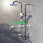 Sen cây Caesar S1038S