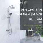 Sen cây Caesar S338C