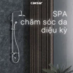 Sen cây Caesar S378C