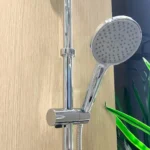 Sen cây Caesar S378C