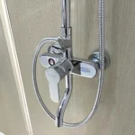 Sen cây Caesar S578C