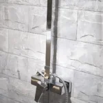 Sen cây Caesar S648C