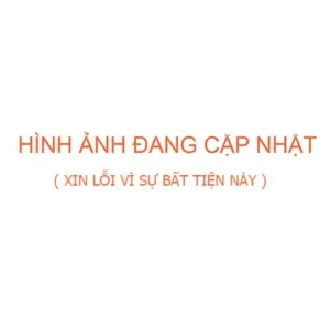 Nơi nhập dữ liệu
