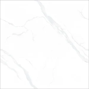 Gạch 100x100 FE10001
