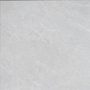 Gạch 100x100 FE11101M